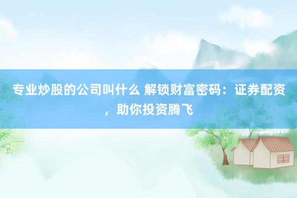 专业炒股的公司叫什么 解锁财富密码:证券配资,助你投资腾飞