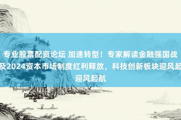 专业股票配资论坛 加速转型!专家解读金融强国战略及2024资本市场制度红利释放,科技创新板块迎风起航