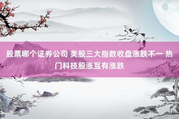 股票哪个证券公司 美股三大指数收盘涨跌不一 热门科技股涨互有涨跌