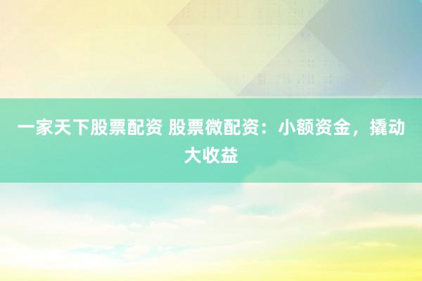 一家天下股票配资 股票微配资:小额资金,撬动大收益